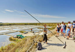 Visite guidée des marais salants de Guérande